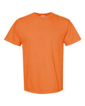 Comfort Colors T Shirt